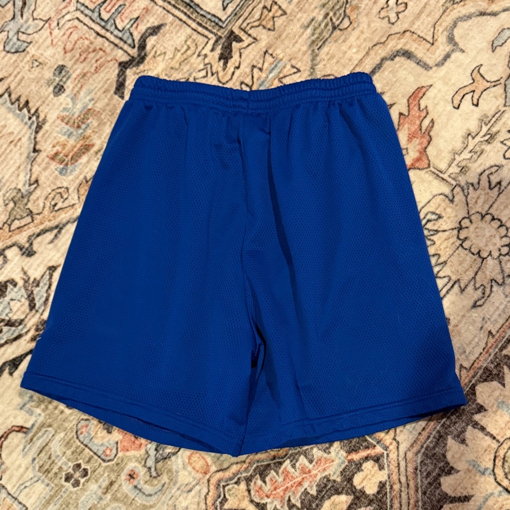 Nike Team mesh shorts